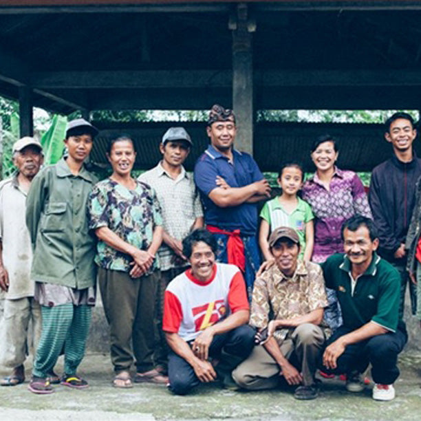 Bali Kintamani Natural